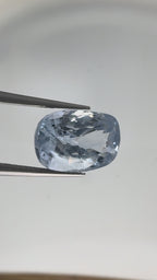 Ceylon Neelam