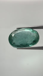 Zambian Emerald