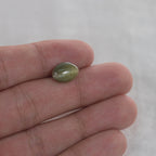 Ceylon Cat's Eye