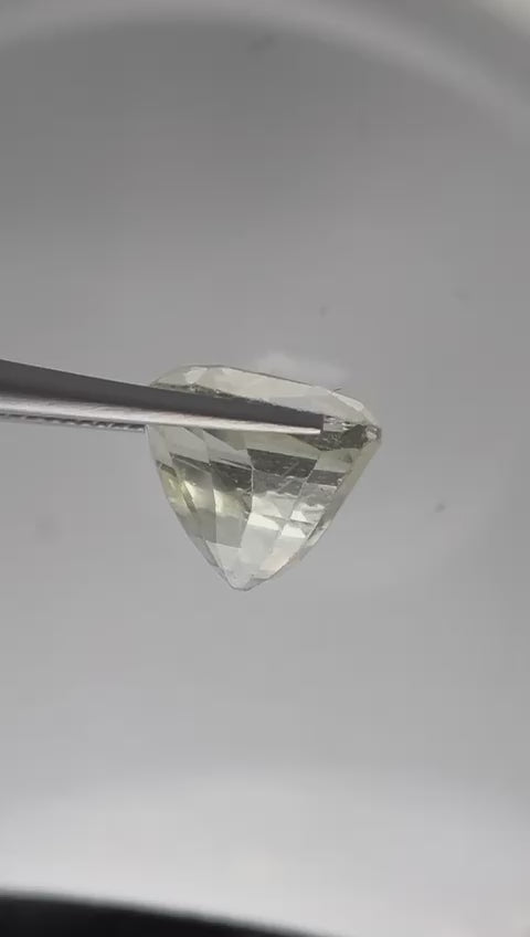 White Pukhraj
